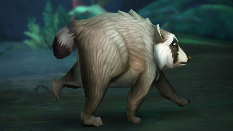 World of Warcraft Is Bringing Viral Raccoon Jimothy to Azeroth