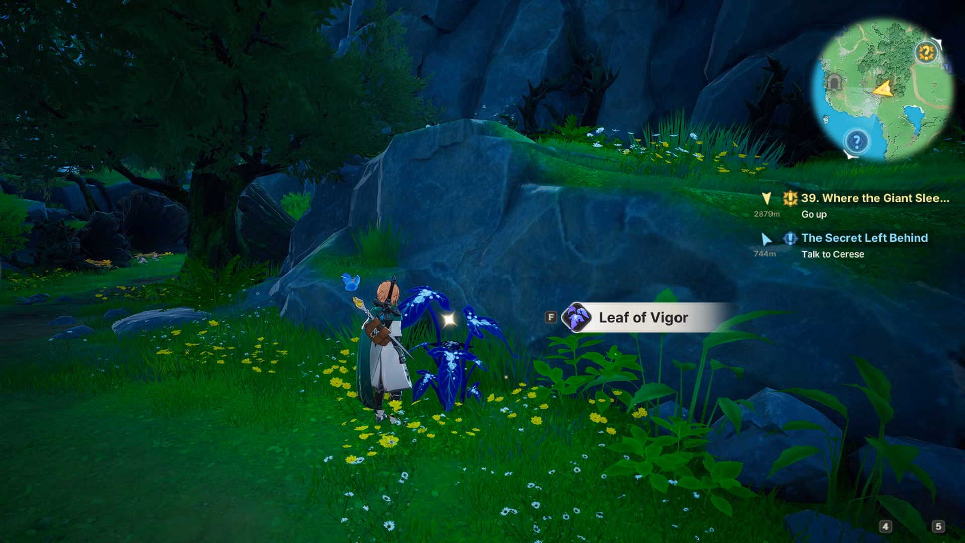 Leaf of Vigor Location in DragonSword Awakening