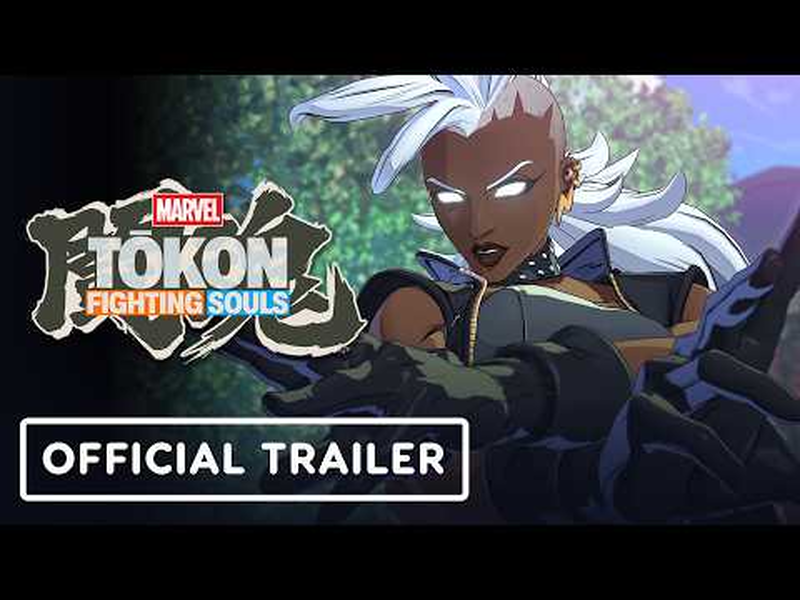 Marvel Tokon Fighting Souls