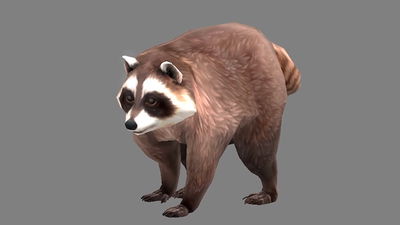 An ArenaNet developer's spouse first discovered Jimothy the raccoon, so it's only right that Guild Wars 2 adds him as a new pet for all classes